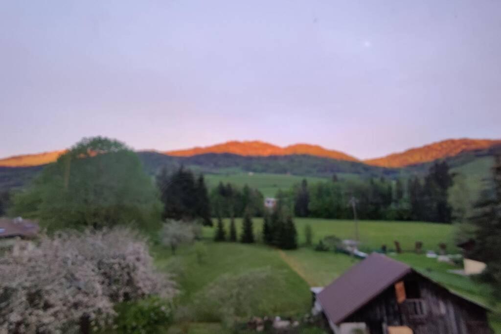 Gite Vallee Verte Burdignin 외부 사진