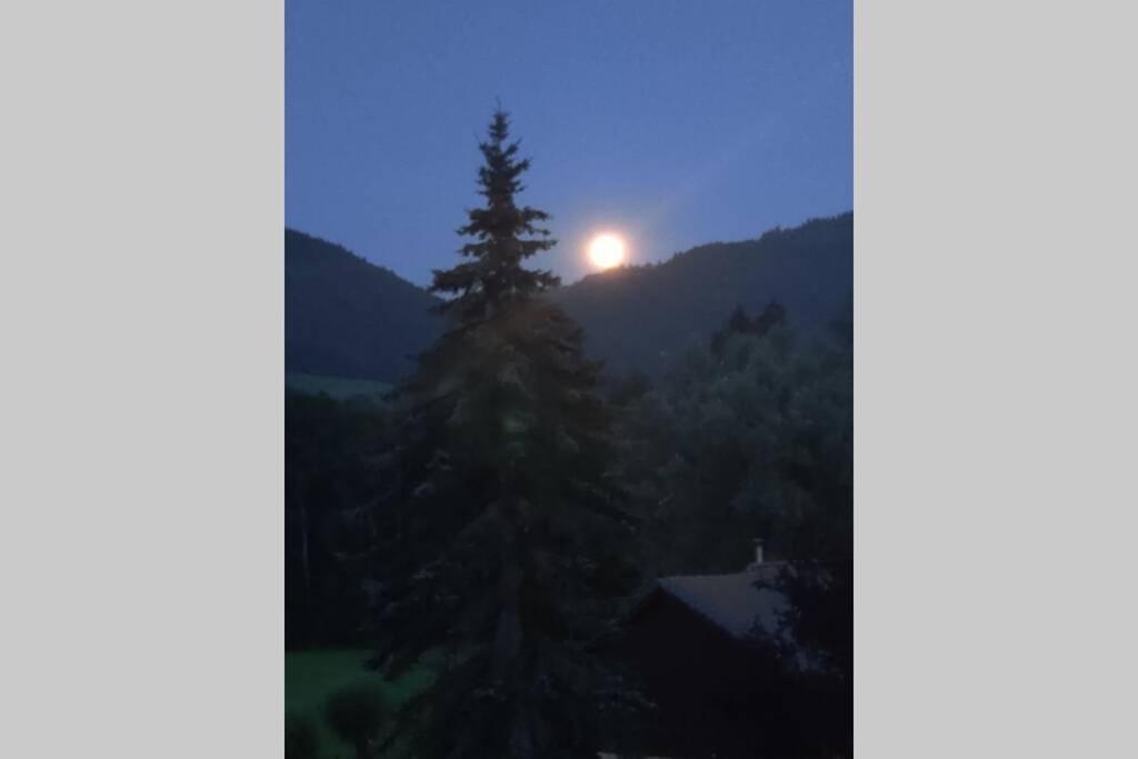 Gite Vallee Verte Burdignin 외부 사진